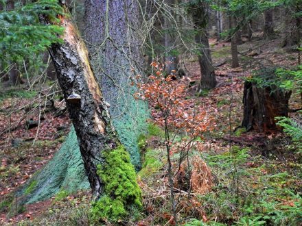 Rozhodnutí o přijetí uchazečů k vyššímu odbornému vzdělávání